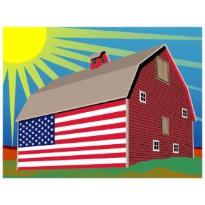 Barn Flag