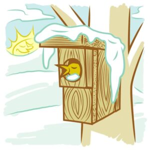 Bird House Winter