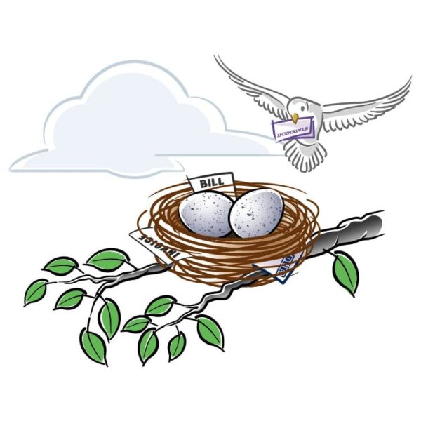 Birds Nest Bills