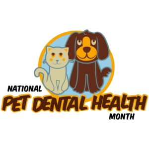 National Pet Dental Health Month