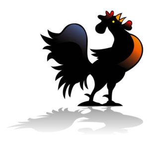 Rooster