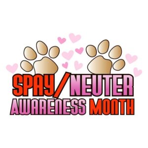 Spay Neuter Awareness Month