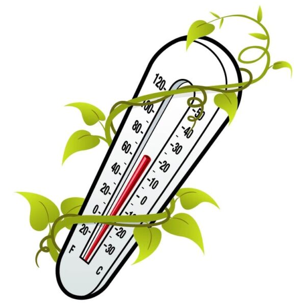 Thermometer Leaves Design