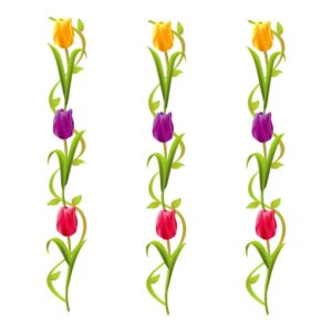 Tulips Border