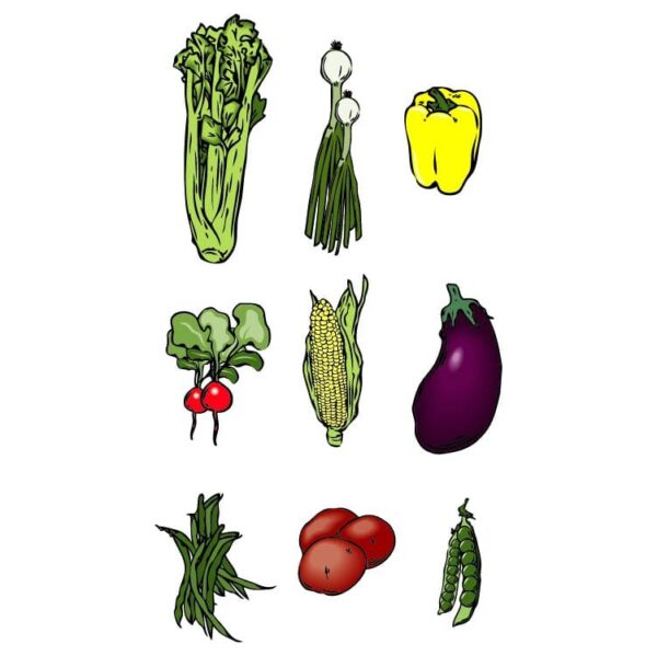 Vitamins Rich Vegetables and Fruits Design
