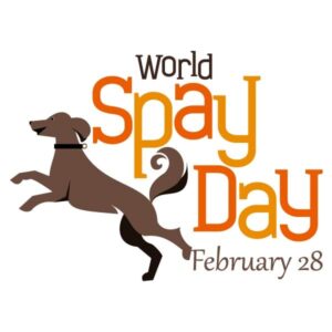 World Spay Day