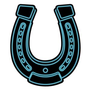 Neon Horseshoe