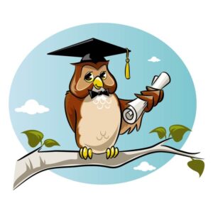 Owl Diploma Cap and Degree in Hand