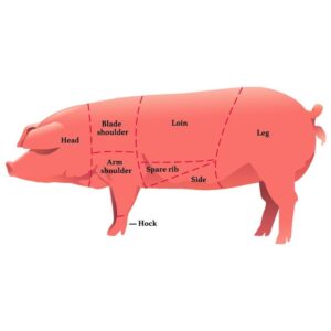 Pig Diagram
