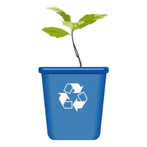 Recycle Bin Sapling