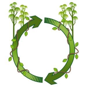 Reuse Symbol Frame