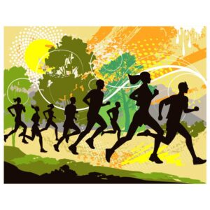 Runner's world half marathon training plan