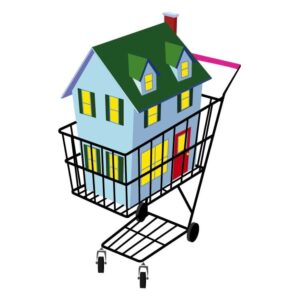 Shopping Cart House