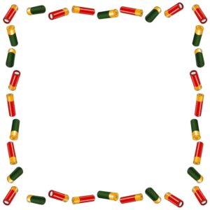 Shotgun Shells Border