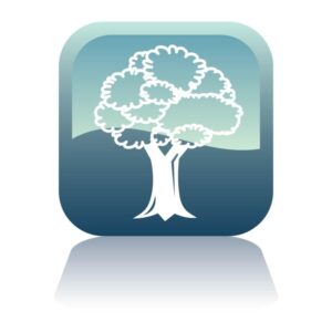 Tree Icon