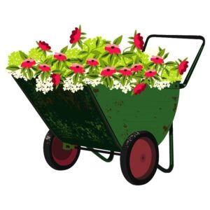 Wheelbarrow Flowers