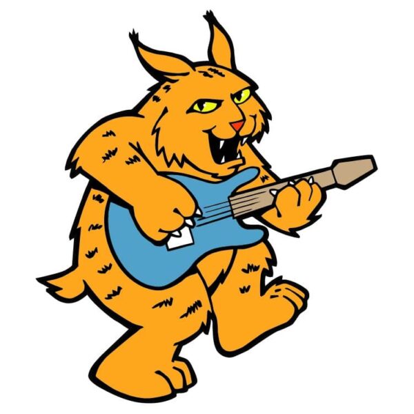 Wild Cat Guitarist