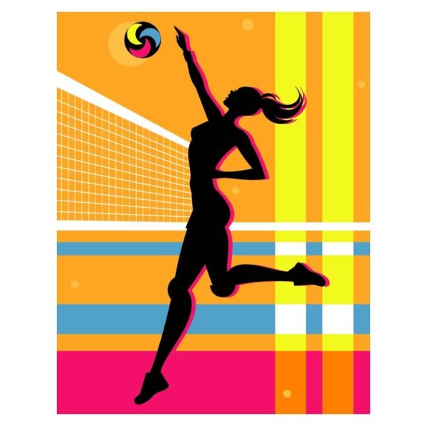 Women's volleyball net height in feet