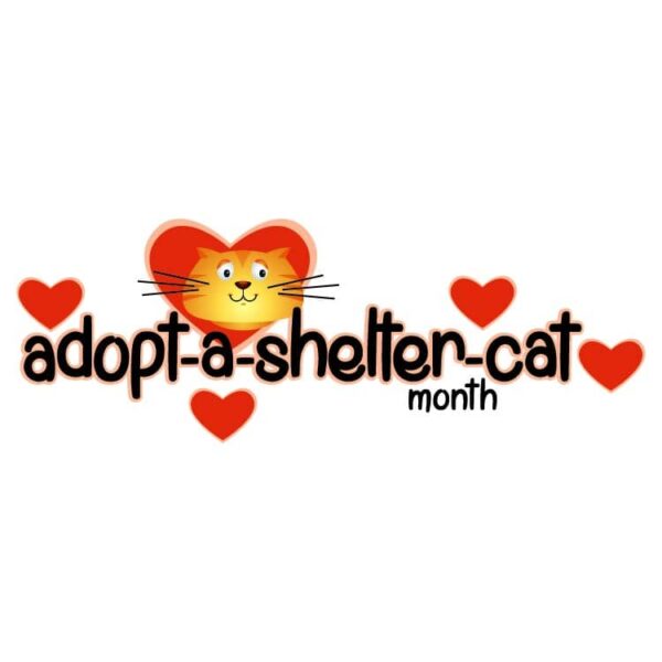 Adopt a shelter cat month June