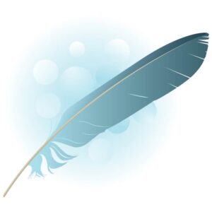 Blue color feather isolated on white and blue background