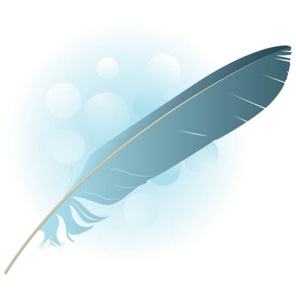 Blue color feather isolated on white and blue background