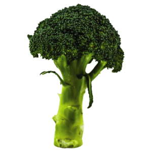 Broccoli Vegetable