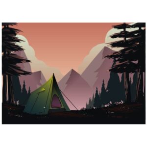 Camping at night in the forest