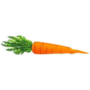 Carrot with leaves