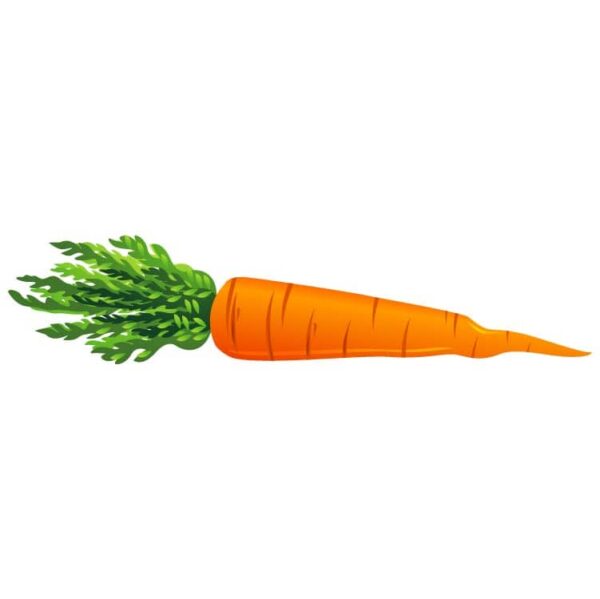 1 millions Carrot with leaves Design Review 2023