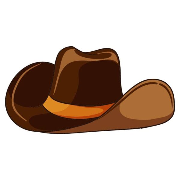 Cowboy western style hat