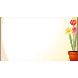 Daffodils and tulips spring flowers in pot frame