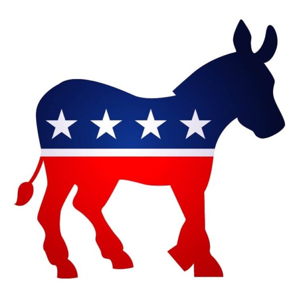 Democracy party USA icon