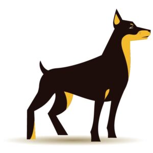 Doberman dog illustration