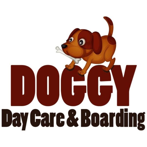 Doggy daycare and boarding