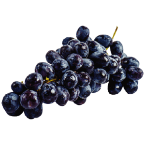 Fruit seeds black grape seeds exotic plant fruit seeds kitchen garden grape fruit seeds