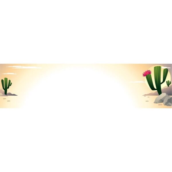Hand drawn cartoon cactuses and flowers banner with copy space