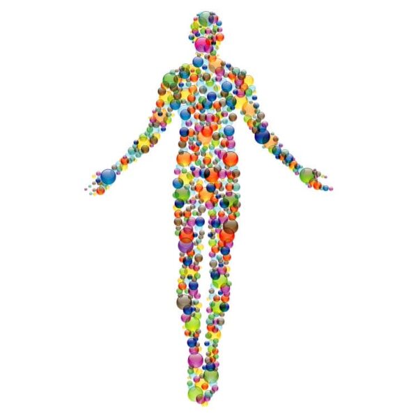 Human body bubble with microbiome