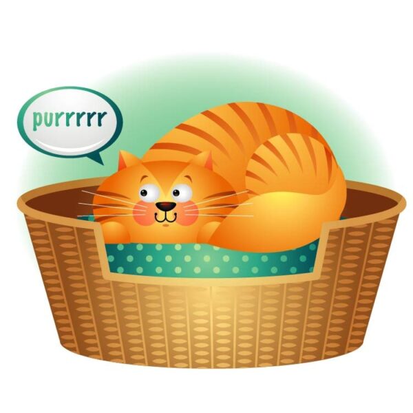 Illustration with cute cat sitting in the basket