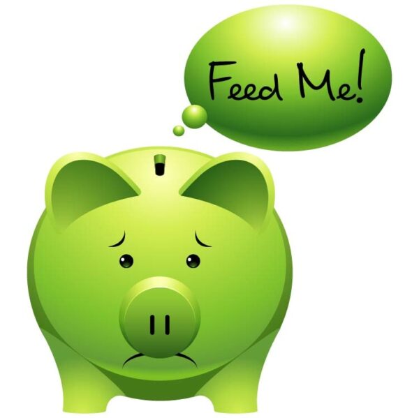 Money savings and investments with piggy bank and slogan feed me