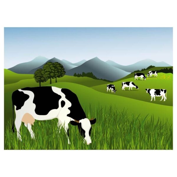 Mountain pasture and nature background with cows
