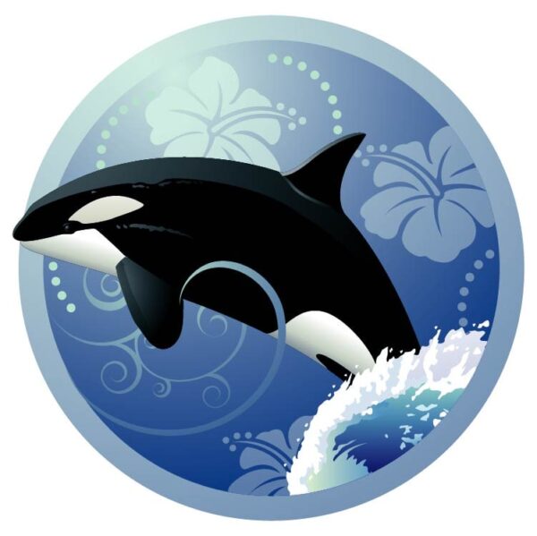 Orca killer whale underwater icon