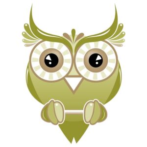 Owl Artwork