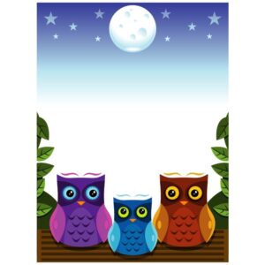 Owls Frame