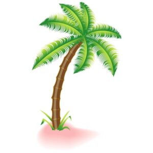 Palm tree