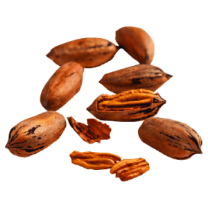 Pecan nuts isolated on white background