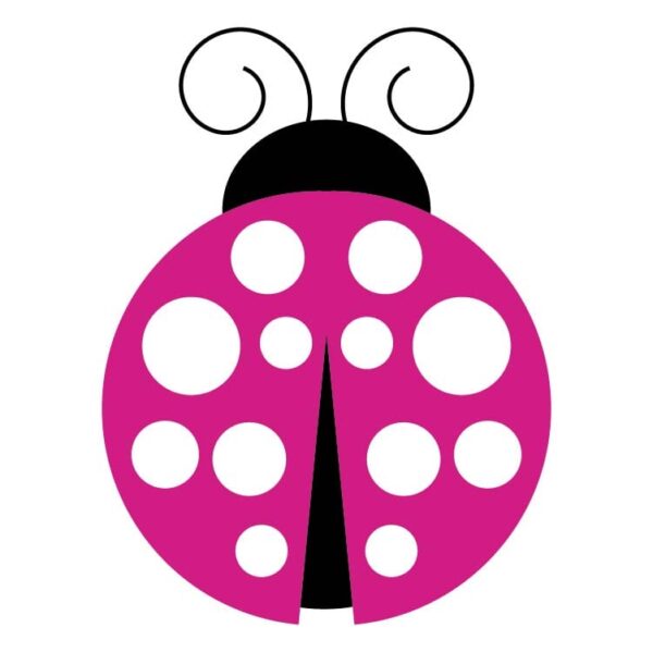 Pink ladybug back view