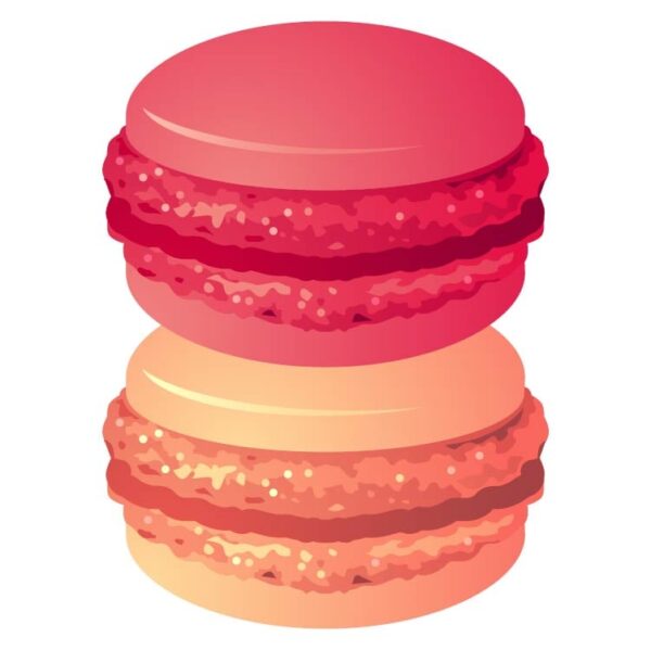 Pink macaron french biscuit candy and cookie dessert