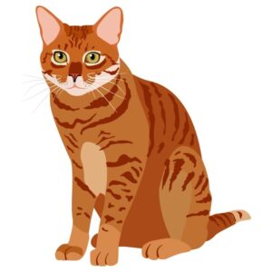 Red fur striped cat cartoon kitten