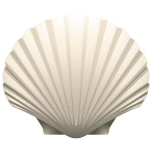 Scallop pearl seashell icon closeup isolated on white background