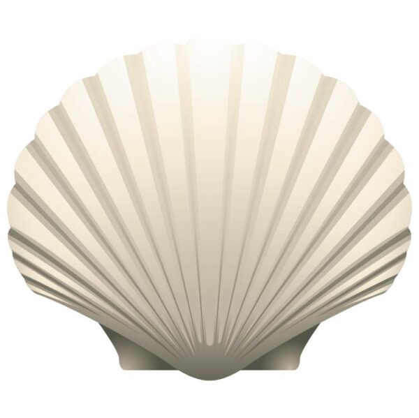 Scallop pearl seashell icon closeup isolated on white background